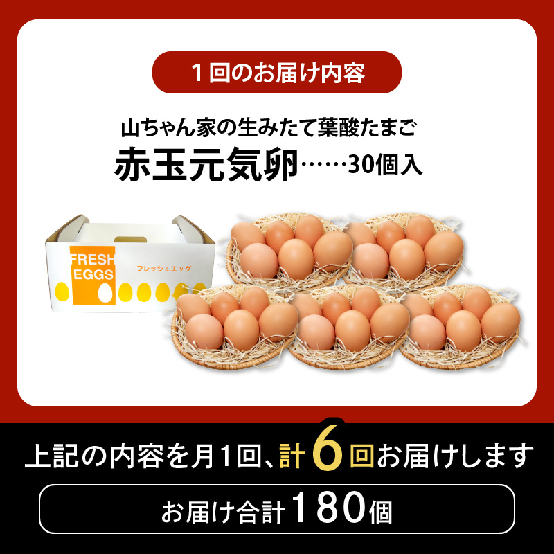 【6ヶ月定期便】【山ちゃん家の生みたて葉酸たまご】赤玉元気卵（30個入り）