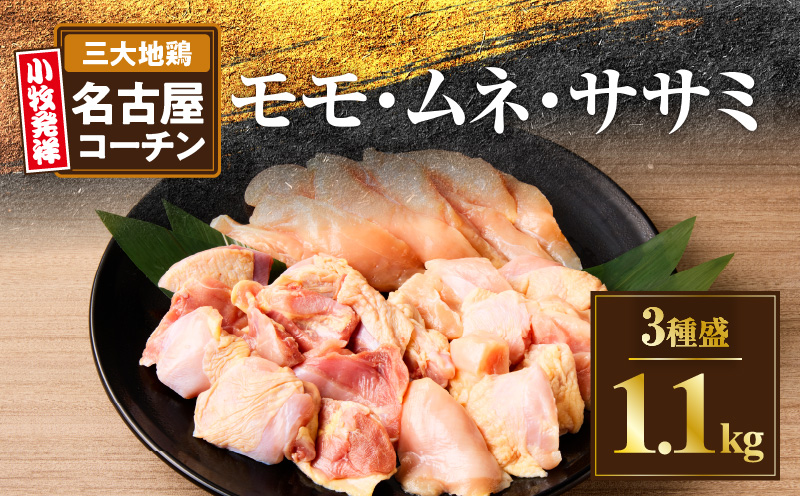 モモ ムネ ササミ 名古屋コーチン3種盛＜1.1kg＞大満足セット　地鶏　鶏肉