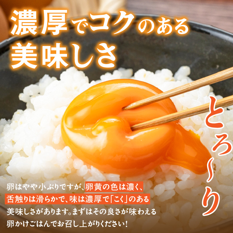 【6ヶ月定期便】【山ちゃん家の生みたて葉酸たまご】赤玉元気卵（40個入り）