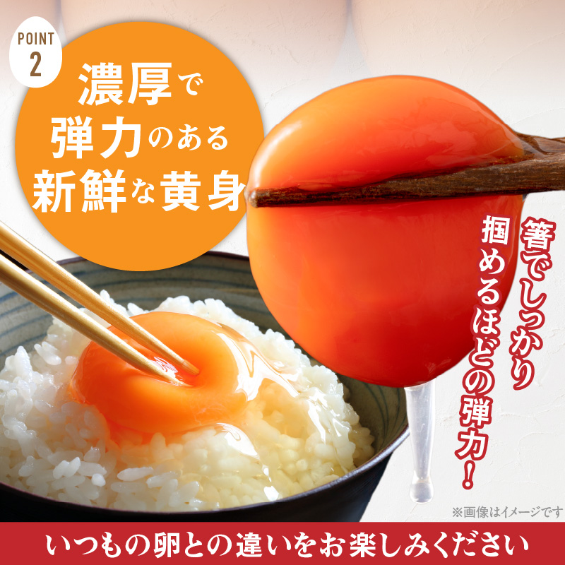 【6ヶ月定期便】【山ちゃん家の生みたて葉酸たまご】赤玉元気卵（30個入り）