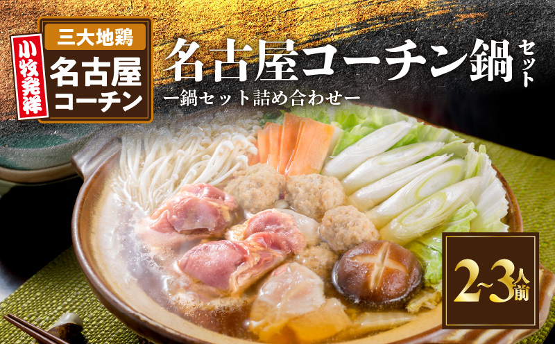 名古屋コーチン鍋セット 日本三大地鶏 鍋セット 鶏肉 もも肉 肉団子 鍋料理