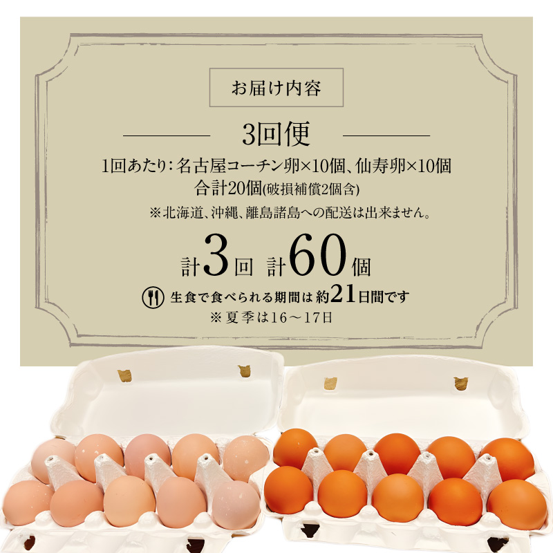 【3回便】名古屋コーチン卵・仙寿卵お試しセット（各10個入り）×3回（計30個）　地鶏 鶏卵 たまご タマゴ 玉子 生卵