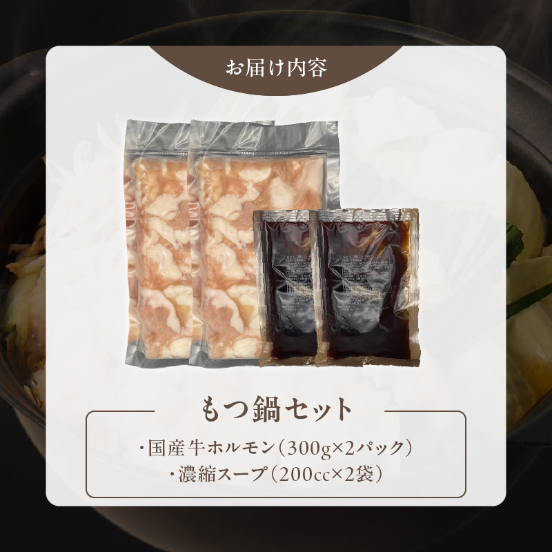 【食肉総合卸 丸正】厳選国産牛のもつ鍋セット（6人前） 