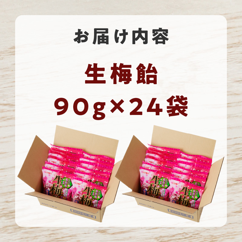 生梅飴　梅飴 梅キャンディ 紀州 南高梅 梅肉エキス ペースト お菓子 あめ キャンディー 飴 個包装 袋 リボン RIBON
