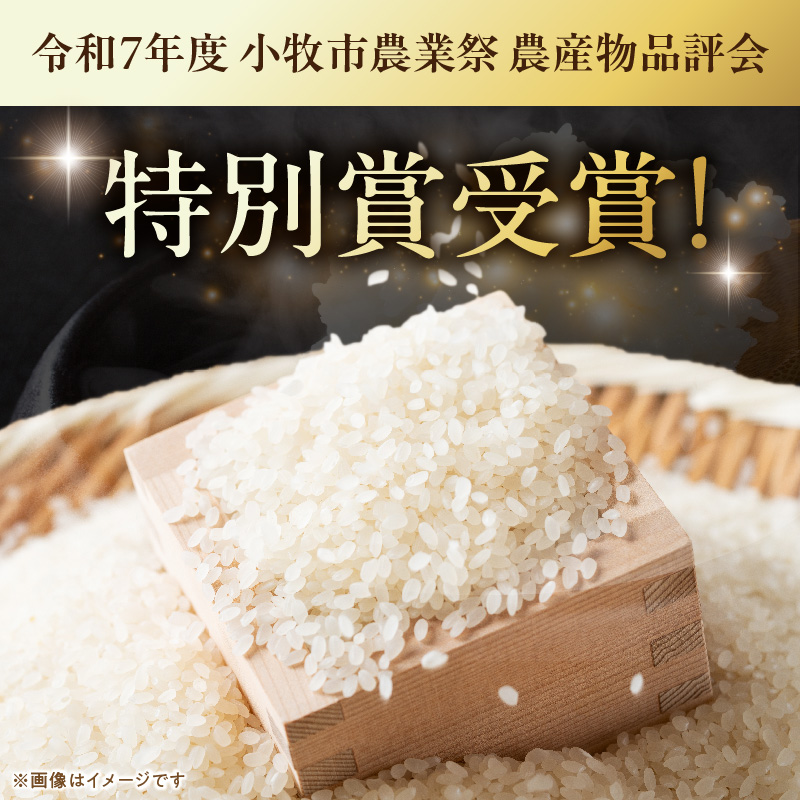 【R8年産新米 先行受付】「あいちのかおり」（5kg）＜農家直送＞ 5kg 米 新米 精米 白米 ご飯 国産 産地直送 ふくよかな甘み ほどよい粘り お取り寄せ 愛知県 小牧市 送料無料