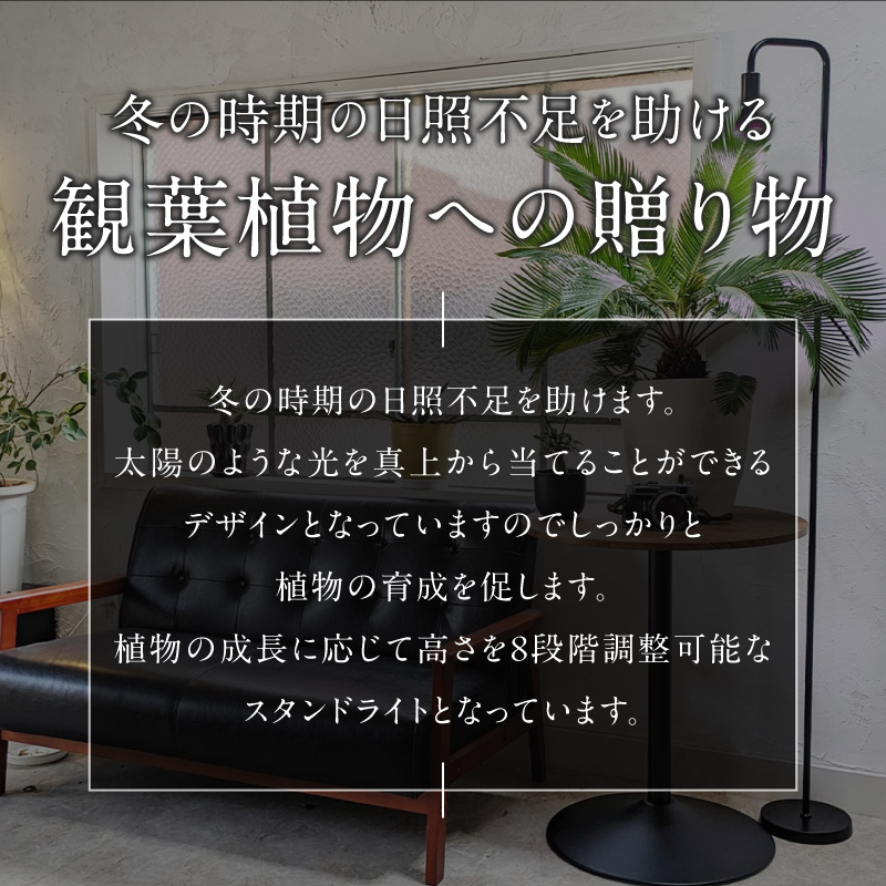 植物育成LEDライト|Stand-PL 15W 植物 育成 LED ライト Stand-PL 高さ 調整可能 シンプル インテリア 雑貨 植物ライト 育苗 スタンド 日照不足 光合成 観葉植物 多肉植物 室内 でんらい 愛知県 小牧市 送料無料
