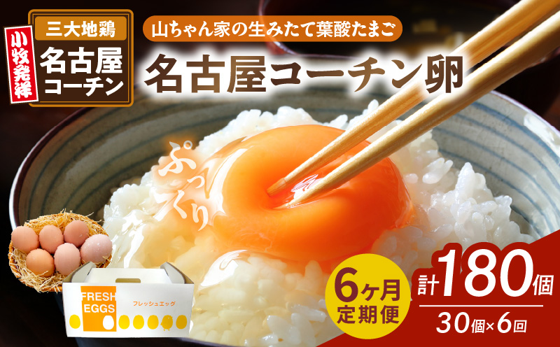 【6ヶ月定期便】【山ちゃん家の生みたて葉酸たまご】名古屋コーチン卵（30個入り）