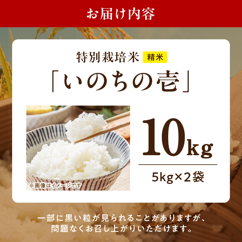 【R8年産新米 先行受付】特別栽培米「いのちの壱」（10kg）＜農家直送＞ 希少米 10kg 米 新米 精米 白米 ご飯 国産 産地直送 甘い 粘り強い もちもち お取り寄せ こだわり米 愛知県 小牧市 送料無料