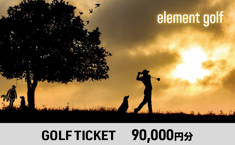 【90,000円分】 elementgolf ゴルフチケット (ゴルフクラブ作成、修理・調整、フィッティング) エレメントゴルフ × 名古屋外国語大学コラボデザインチケット ゴルフ ゴルフクラブ 愛知 日進市