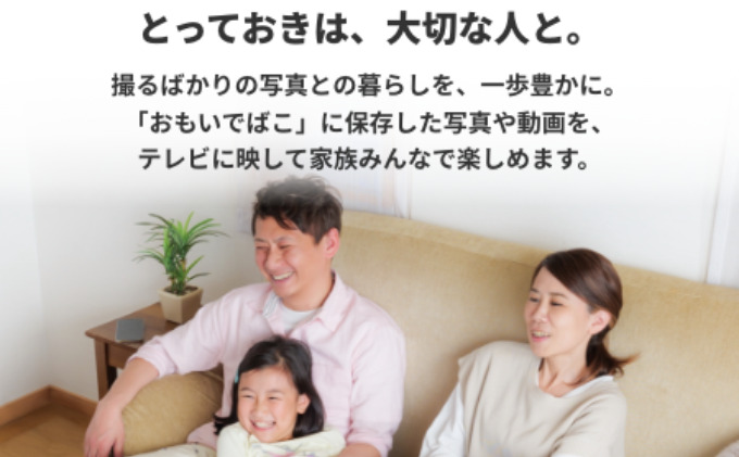BUFFALO おもいでばこ バックアップ セット 4TB 外付けHDD データ保存 家電