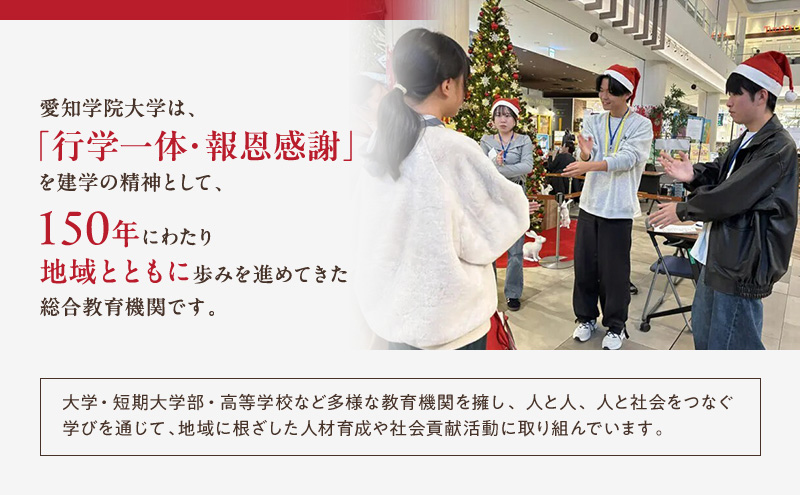 【返礼品なし】大学等連携事業補助制度 (愛知学院大学) 5,000円 大学 教育 教育支援 愛知県 日進市