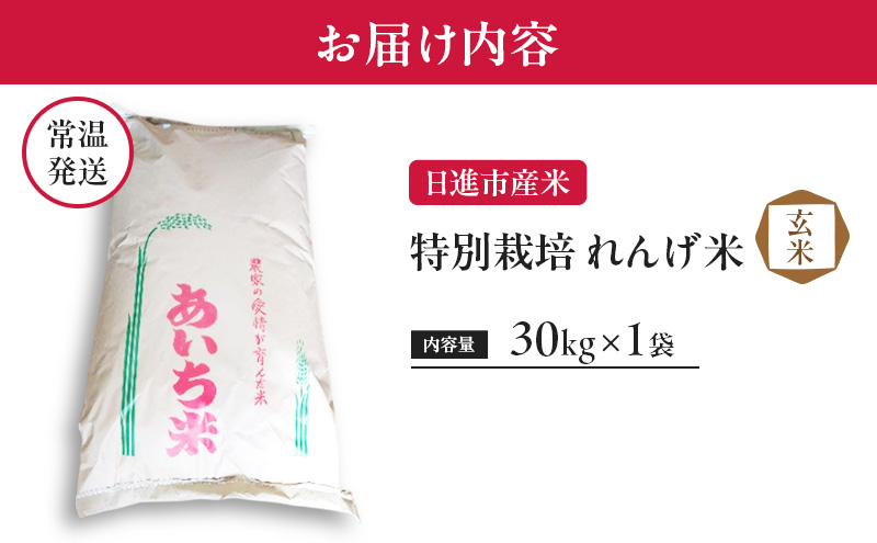 玄米 【玄米】特別栽培れんげ米 日進市産米 30kg×1袋  米 コメ お米 あいちのかおり 特別栽培米 れんげ草 日進市 愛知県
