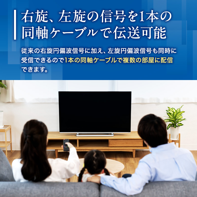 アンテナ BS・110°CSアンテナ BC45RL セット ブラック 電化製品 テレビ 壁面用 屋外 