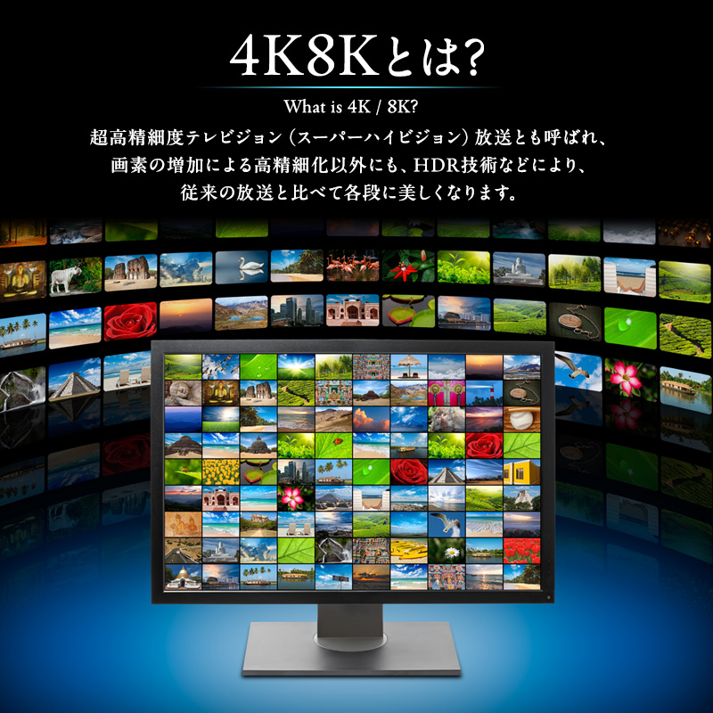 アンテナ BS・110°CSアンテナ BC45RL セット ブラック 電化製品 テレビ 壁面用 屋外 