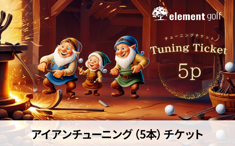 elementgolf アイアン チューニング チケット (5本) エレメントゴルフ × 名古屋外国語大学コラボデザインチケット ゴルフ アイアン ゴルフクラブ 調整 愛知 日進市