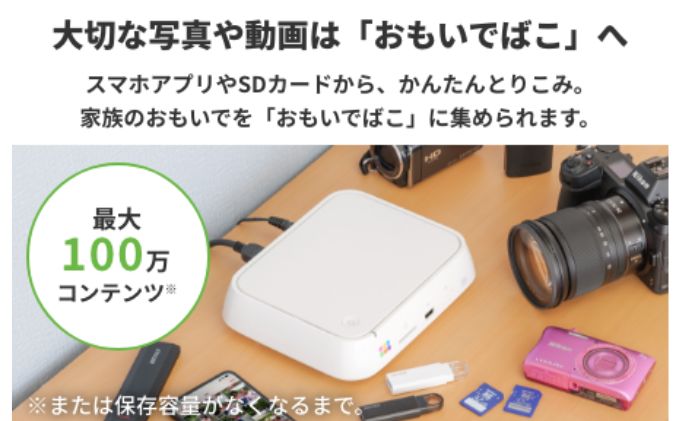 BUFFALO おもいでばこ DVDドライブ セット 4TB データ保存 取り込み 家電