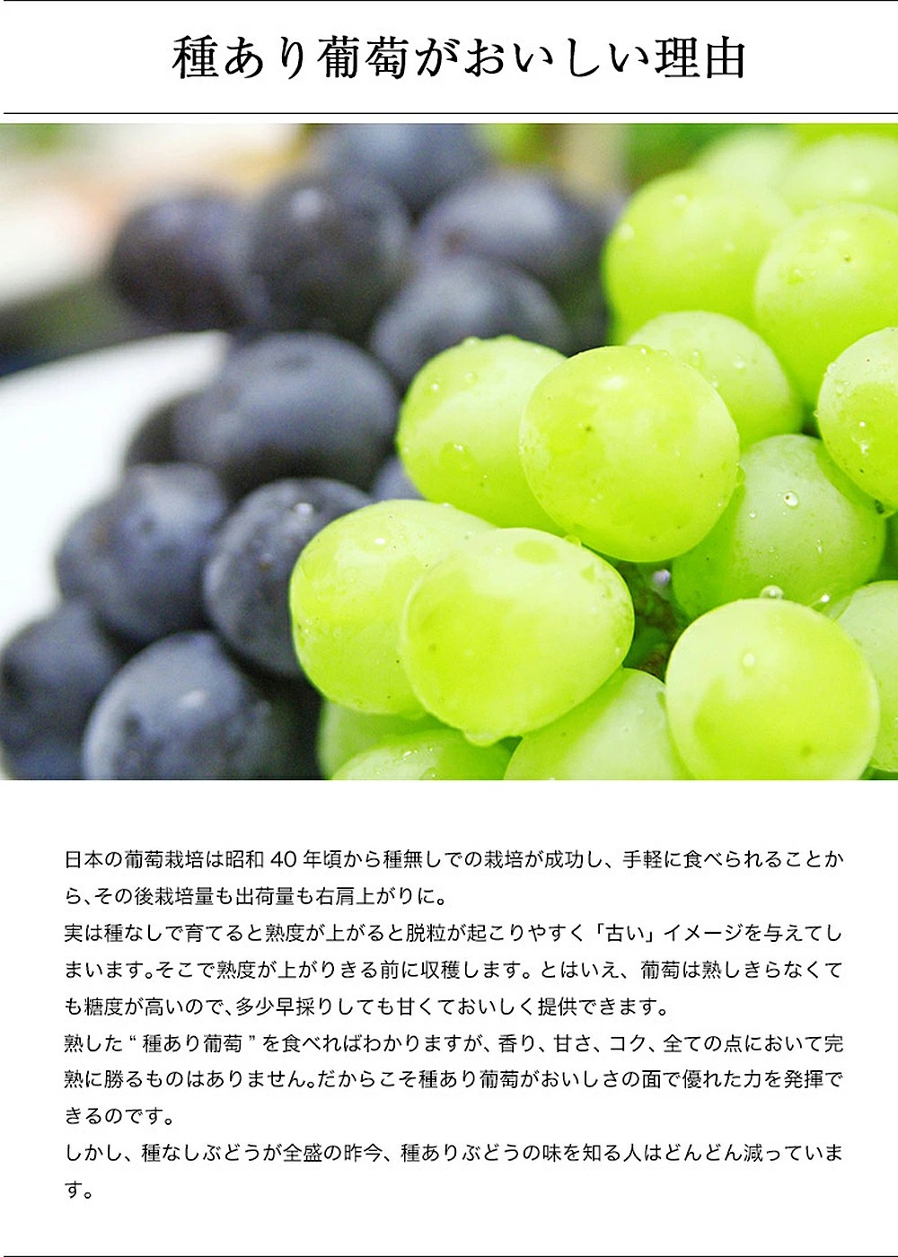 幸田町産ぶどう使用（無添加、無糖、無加水）100％ジュース 多種類 6本詰め合わせ 180ml×6本 合計1080ml ｜ ぶどうジュース 葡萄ジュース 巨峰 デラウェア 甲斐路 ベリーA セミヨン ナイアガラ アレキサンドリア コンコード 種ぶどう 愛知県 幸田町