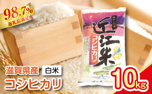 【新米】令和8年産　近江米　こしひかり【10kg（5kg×2袋）】【T020W4】（滋賀県　近江八幡市）