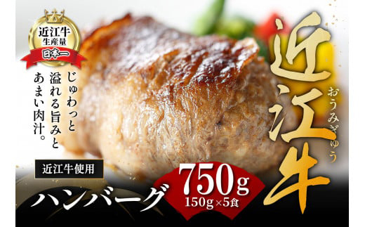 【カネ吉山本】特選黒毛和牛／近江牛 プレミアムハンバーグ 5個箱入【750ｇ（約150ｇ×5個）】【Y095W】