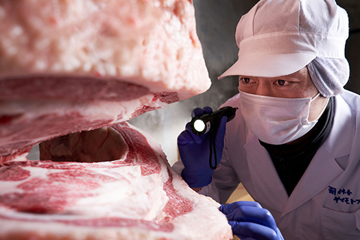 【カネ吉山本】近江牛特上焼肉500g【Y164W1】（国産牛　和牛　ブランド牛　ブランド和牛　黒毛和牛　牛肉　肉　高級　人気　おすすめ　神戸牛　松阪牛 に並ぶ 日本三大和牛 近江牛）