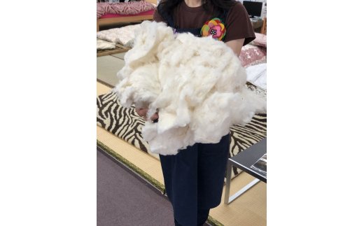 コットンの王様・エジプト綿入り「究極の掛ふとん」（ローズピンク）【CW25W1】