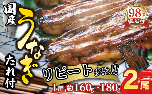 【一度食べたらやみつき！リピート多数 】うなぎ蒲焼２尾セット【D009W】（滋賀県　近江八幡市）