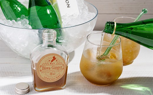 クラフトコーラシロップ「びわコーラ」3種飲み比べ 200ml×3本セット【DC07W】（滋賀県　近江八幡市）