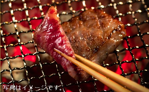 【カネ吉山本】近江牛[吟] 焼肉用 サーロイン【400g】【Y041W1】（国産牛　和牛　ブランド牛　ブランド和牛　黒毛和牛　牛肉　肉　高級　人気　おすすめ　神戸牛　松阪牛 に並ぶ 日本三大和牛 近江牛）