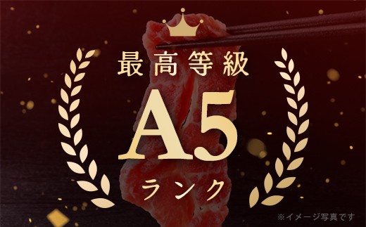 【げんさん】近江牛A5ランク切落し定期便【全4回定期便】【リピート多数】【訳あり】【DG26W】（滋賀県　近江八幡市）