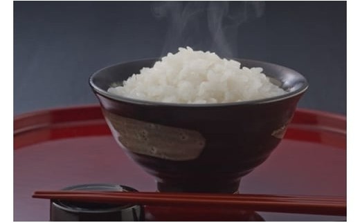 【新米　先行予約】令和8年産近江米にこまる白米【5kg×１袋】【V024W】