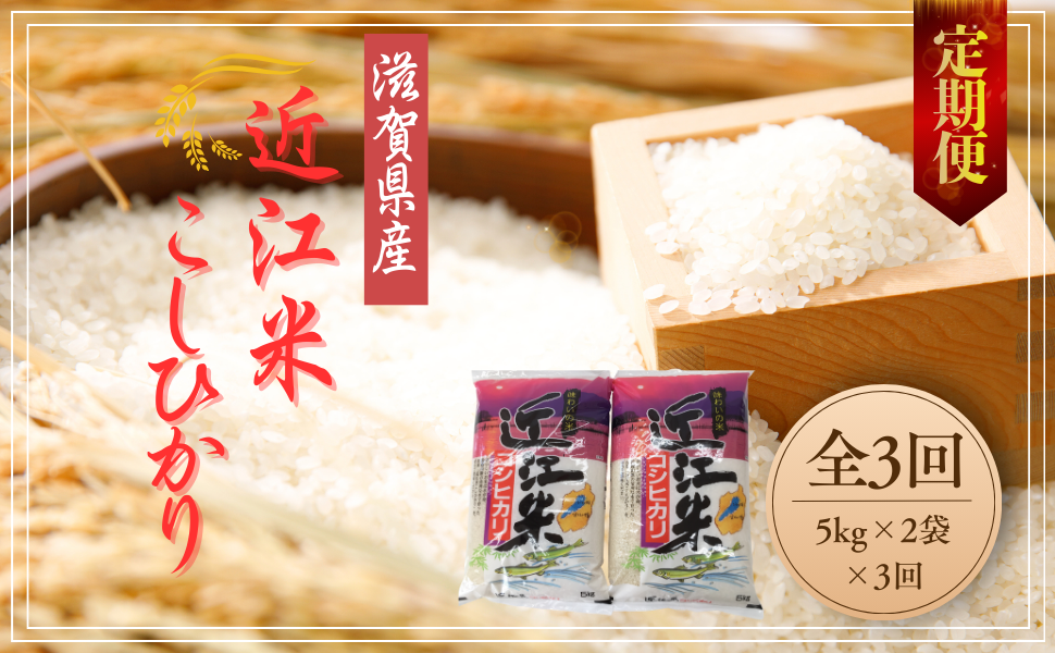【新米】令和8年産　近江米　こしひかり　定期便　10kg×3回コース【計30kg（5kg×2袋×3回）】【T033W3】（滋賀県　近江八幡市）