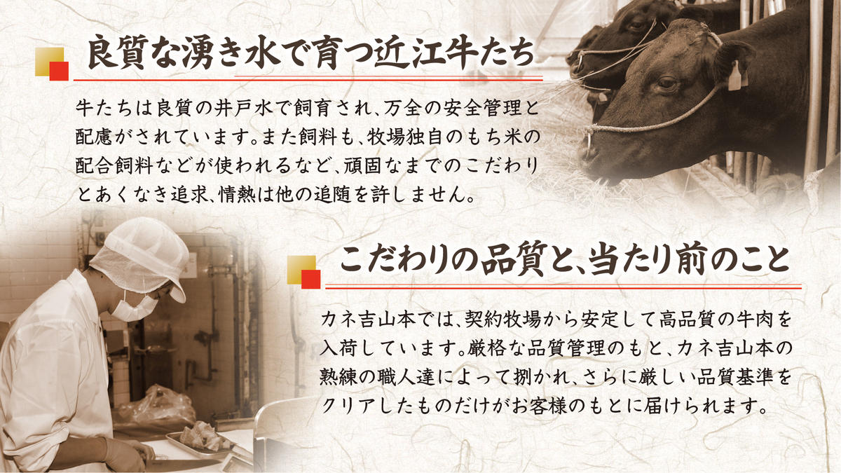 【4等級以上】【カネ吉山本】近江牛［極］すきやき用サーロイン【500ｇ】【Y076W】（国産牛　和牛　ブランド牛　ブランド和牛　黒毛和牛　牛肉　肉　高級　人気　おすすめ　神戸牛　松阪牛 に並ぶ 日本三大和牛 近江牛）