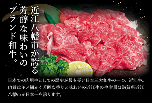 【げんさん】近江牛A5ランク切落し【500g】【訳あり】【DG12W】（国産牛　和牛　ブランド牛　ブランド和牛　黒毛和牛　牛肉　肉　高級　人気　おすすめ　神戸牛　松阪牛 に並ぶ 日本三大和牛 近江牛）