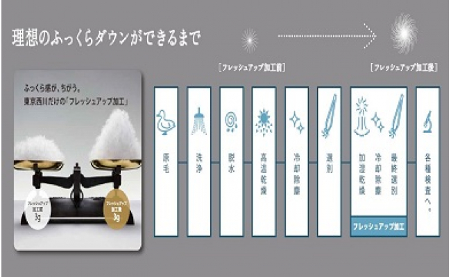 【nishikawa/西川】羽毛ふとん/ポーリッシュホワイトグースダウン93％/S【P057W】（滋賀県　近江八幡市）