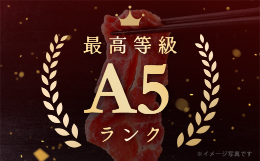 【げんさん】近江牛A5ランク切落し【500g】【訳あり】【DG12W】（滋賀県　近江八幡市）
