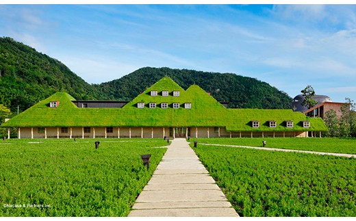 【たねや】福寿芋９個入【FT14W1】（滋賀県　近江八幡市）