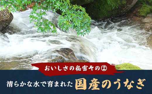 【一度食べたらやみつき！リピート多数 】うなぎ蒲焼4尾セット【D010W】（滋賀県　近江八幡市）