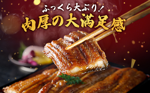 【一度食べたらやみつき！リピート多数 】うなぎ蒲焼２尾セット【D009W】（滋賀県　近江八幡市）