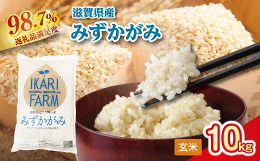 【新米】令和8年産冷めても美味しいあっさりとした味わい「みずかがみ」玄米【10kg（5kg×2袋）】【C018W2】（滋賀県　近江八幡市）