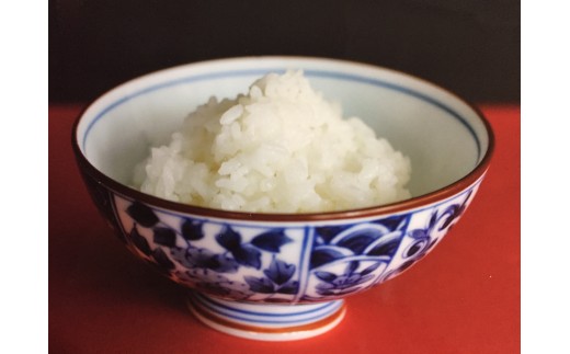 【新米　先行予約】令和8年産　近江米ミルキークイーン【10kg（5kg×2袋）】【T040W】