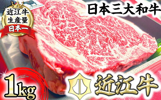 【定期便】近江牛定期便　塊肉　ブロック肉赤身霜降り食べ比べ　全2回【FO47W】（国産牛　和牛　ブランド牛　ブランド和牛　黒毛和牛　牛肉　肉　高級　人気　おすすめ　神戸牛　松阪牛 に並ぶ 日本三大和牛 近江牛）