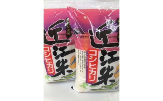 【新米　先行予約】令和8年産　近江米こしひかり【10kg（5kg×2袋）】【T038W】