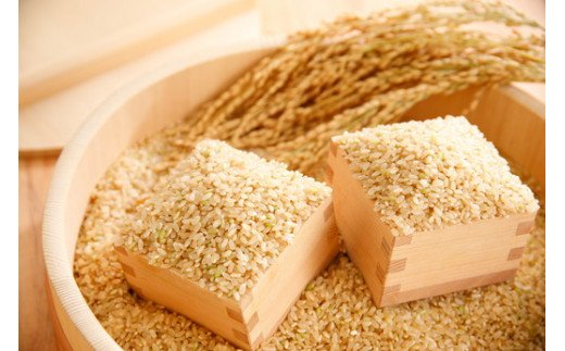【新米】令和8年産冷めても美味しいあっさりとした味わい「みずかがみ」玄米【10kg（5kg×2袋）】【C018W2】（滋賀県　近江八幡市）