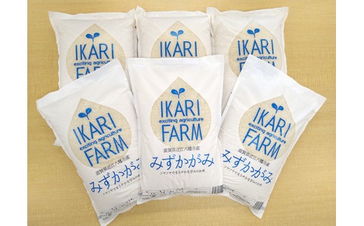【新米】令和8年産みずかがみ　白米定期便　6か月で5kgを6回お届け（1か月に1回）【C036W2】（滋賀県　近江八幡市）
