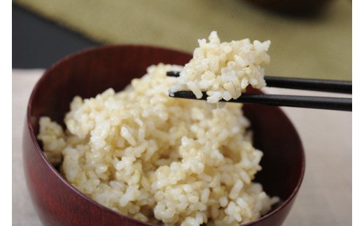 【新米】令和8年産冷めても美味しいあっさりとした味わい「みずかがみ」玄米【10kg（5kg×2袋）】【C018W2】（滋賀県　近江八幡市）
