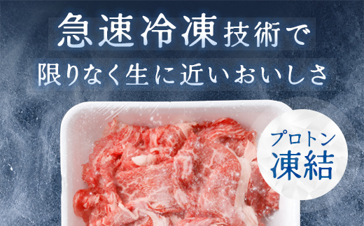 【げんさん】近江牛A5ランク切落し【500g】【訳あり】【DG12W】（滋賀県　近江八幡市）

