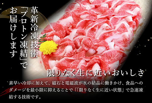 【げんさん】近江牛A5ランク切落し【500g】【訳あり】【DG12W】（国産牛　和牛　ブランド牛　ブランド和牛　黒毛和牛　牛肉　肉　高級　人気　おすすめ　神戸牛　松阪牛 に並ぶ 日本三大和牛 近江牛）