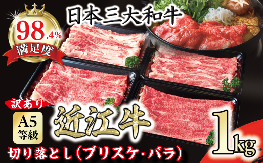 【訳あり】近江牛 A5 切り落とし スライス 食べ比べ ブリスケ＆バラ 1kg【FO01W】（国産牛　和牛　ブランド牛　ブランド和牛　黒毛和牛　牛肉　肉　高級　人気　おすすめ　神戸牛　松阪牛 に並ぶ 日本三大和牛 近江牛）