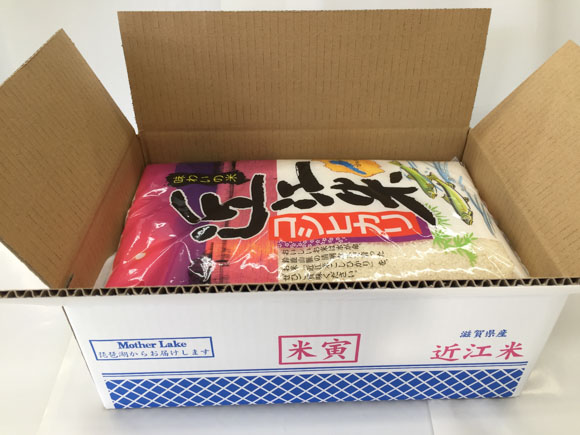 【新米】令和8年産　近江米　こしひかり　定期便　10kg×3回コース【計30kg（5kg×2袋×3回）】【T033W3】（滋賀県　近江八幡市）