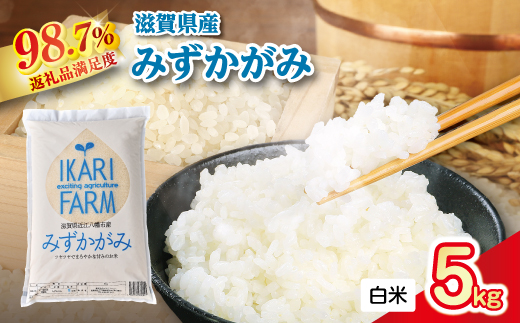 【新米】令和8年産冷めても美味しいあっさりとした味わい「みずかがみ」白米【5kg】【C014W2】（滋賀県　近江八幡市）